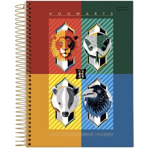Caderno 1 Matéria Universitário Espiral Harry Potter - Jandaia