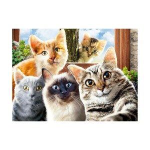 Quebra-cabeça 500 peças Selfie Cats - Grow