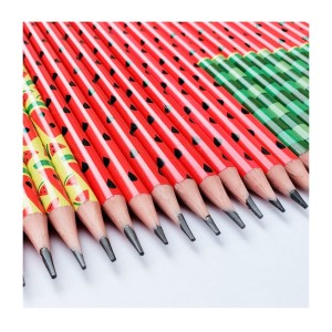 Kit com 10 Lápis Grafite HB Decorados Melancia - Leo&Leo