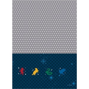 Caderno 10 Matérias Universitário Espiral Harry Potter - Jandaia