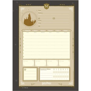 Caderno 15 Matérias Universitário Espiral Harry Potter - Jandaia
