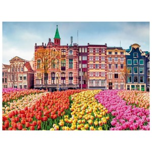 Quebra-cabeça 500 peças Flores em Amsterdã - Grow