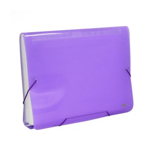 Pasta Sanfonada A4 Com 31 Divisórias Lilás Line - DAC