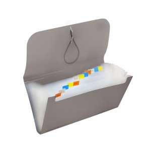 Pasta Sanfonada Porta Cheque 12 Divisórias Fumê Line - DAC