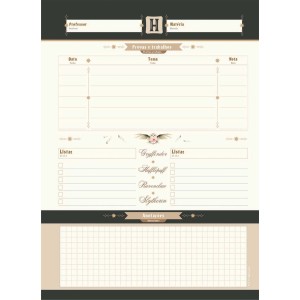 Caderno 10 Matérias Universitário Espiral Harry Potter - Jandaia